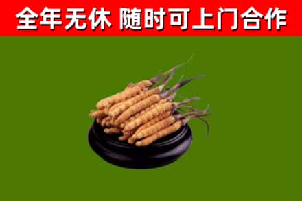 双城区烟酒回收冬虫夏草.jpg