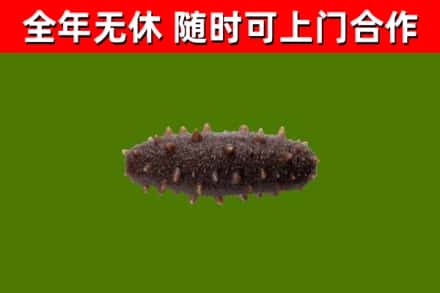 双城区烟酒回收干海参.jpg